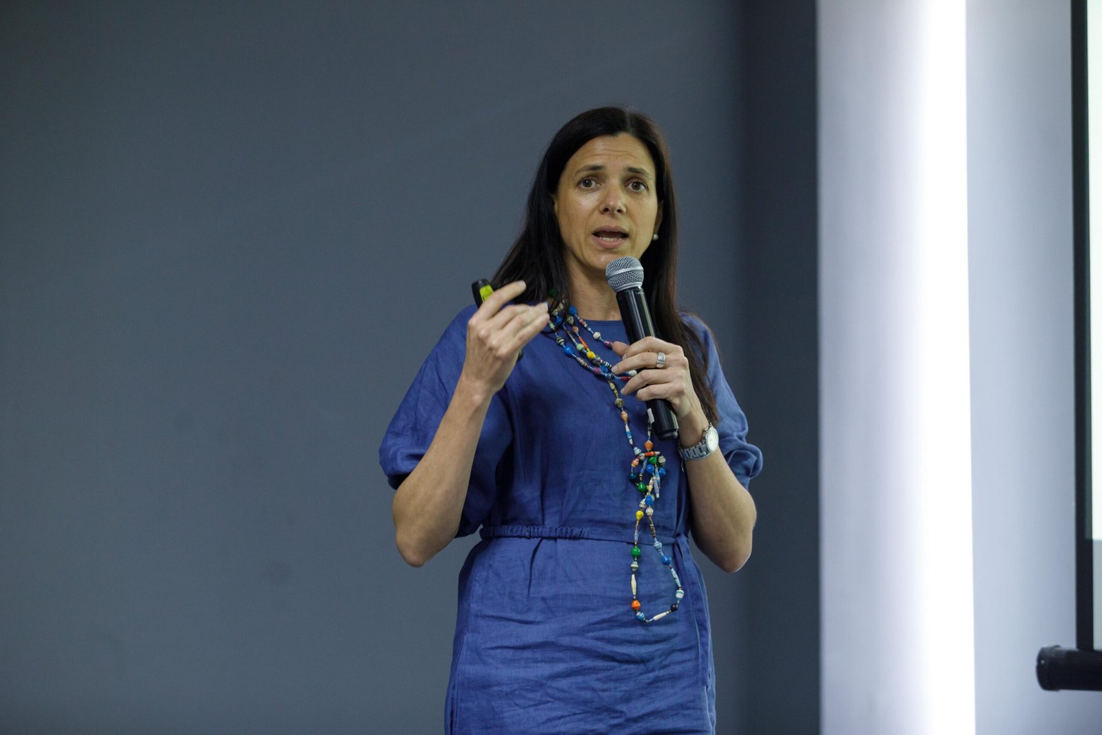 A Latina lawyer speaks at a GCNC forum